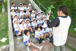 野菜の植え付け～青組さん～