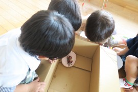 カニさんを見つけました!
